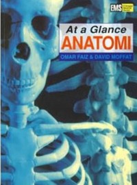 At a Glance Anatomi